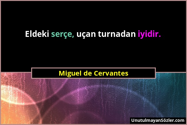 Miguel de Cervantes - Eldeki serçe, uçan turnadan iyidir....