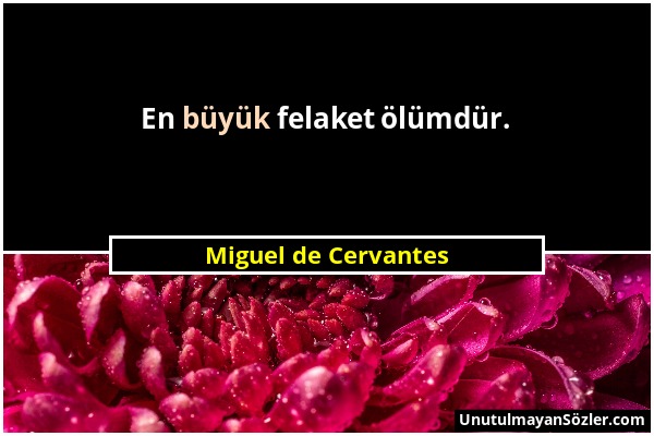 Miguel de Cervantes - En büyük felaket ölümdür....