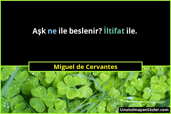 Miguel de Cervantes - Aşk ne ile beslenir? İltifat ile....