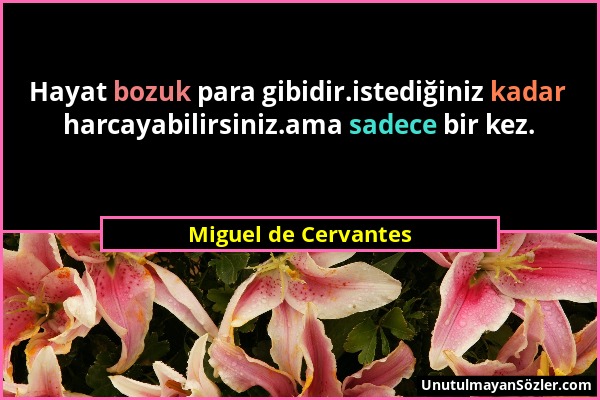 Miguel de Cervantes - Hayat bozuk para gibidir.istediğiniz kadar harcayabilirsiniz.ama sadece bir kez....