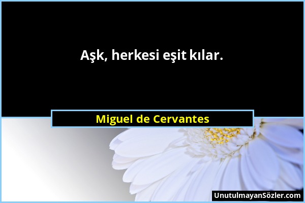 Miguel de Cervantes - Aşk, herkesi eşit kılar....