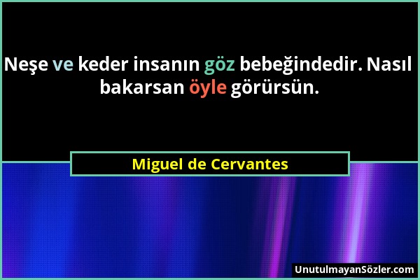 Miguel de Cervantes - Neşe ve keder insanın göz bebeğindedir. Nasıl bakarsan öyle görürsün....