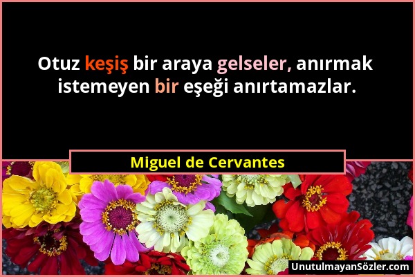 Miguel de Cervantes - Otuz keşiş bir araya gelseler, anırmak istemeyen bir eşeği anırtamazlar....