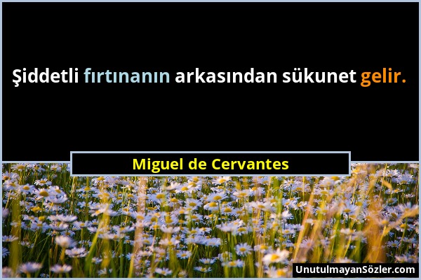 Miguel de Cervantes - Şiddetli fırtınanın arkasından sükunet gelir....