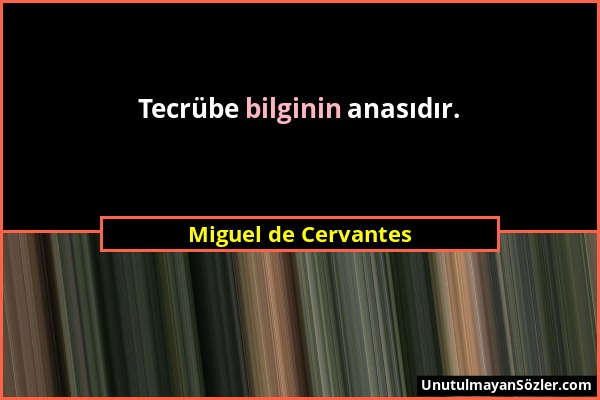 Miguel de Cervantes - Tecrübe bilginin anasıdır....