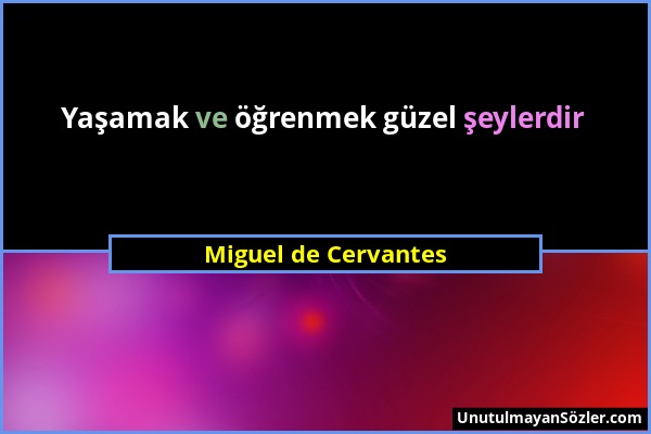 Miguel de Cervantes - Yaşamak ve öğrenmek güzel şeylerdir...