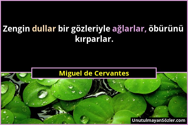 Miguel de Cervantes - Zengin dullar bir gözleriyle ağlarlar, öbürünü kırparlar....