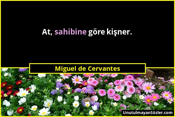 Miguel de Cervantes - At, sahibine göre kişner....