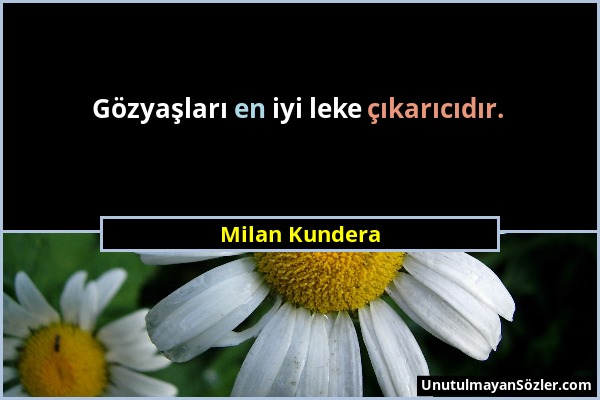 Milan Kundera - Gözyaşları en iyi leke çıkarıcıdır....