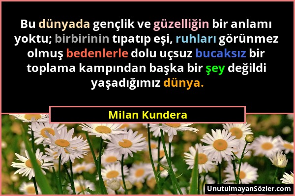 Milan Kundera - Bu dünyada gençlik ve güzelliğin bir anlamı yoktu; birbirinin tıpatıp eşi, ruhları görünmez olmuş bedenlerle dolu uçsuz bucaksız bir t...