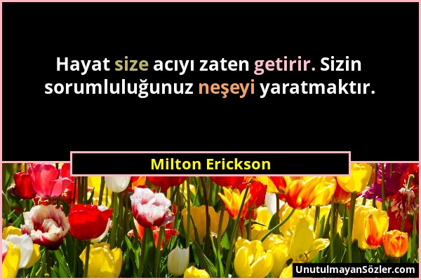 Milton Erickson - Hayat size acıyı zaten getirir. Sizin sorumluluğunuz neşeyi yaratmaktır....