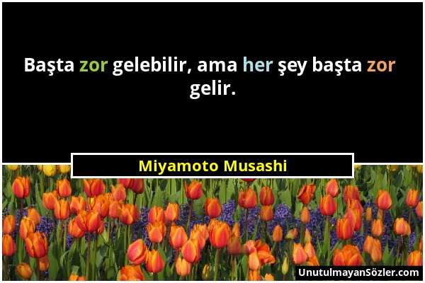 Miyamoto Musashi - Başta zor gelebilir, ama her şey başta zor gelir....