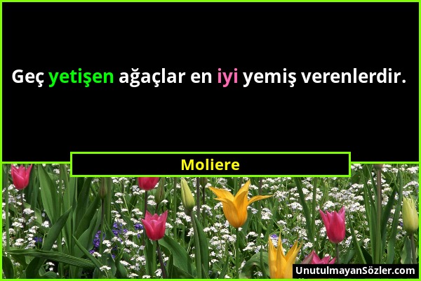 Moliere - Geç yetişen ağaçlar en iyi yemiş verenlerdir....