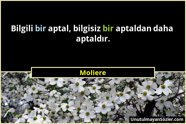 Moliere - Bilgili bir aptal, bilgisiz bir aptaldan daha aptaldır....