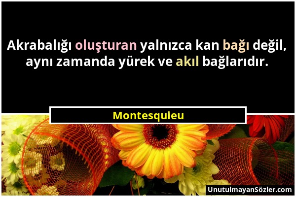 Montesquieu - Akrabalığı oluşturan yalnızca kan bağı değil, aynı zamanda yürek ve akıl bağlarıdır....