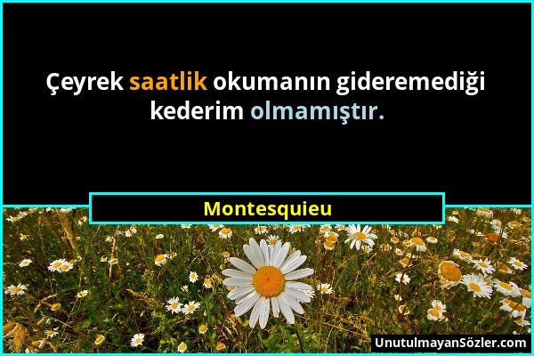 Montesquieu - Çeyrek saatlik okumanın gideremediği kederim olmamıştır....