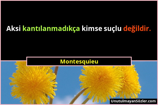 Montesquieu - Aksi kantılanmadıkça kimse suçlu değildir....