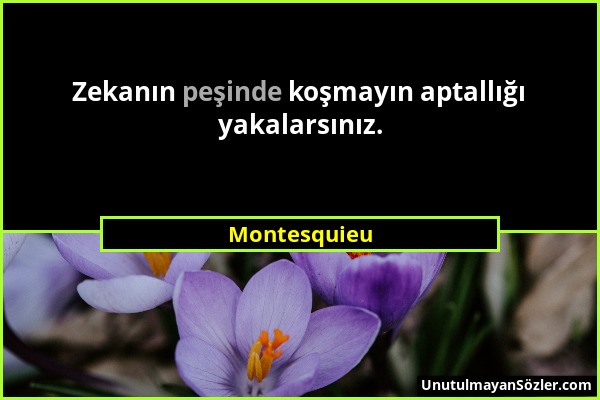 Montesquieu - Zekanın peşinde koşmayın aptallığı yakalarsınız....