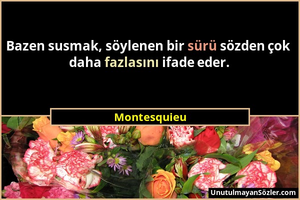 Montesquieu - Bazen susmak, söylenen bir sürü sözden çok daha fazlasını ifade eder....