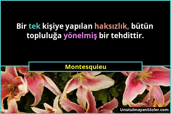 Montesquieu - Bir tek kişiye yapılan haksızlık, bütün topluluğa yönelmiş bir tehdittir....