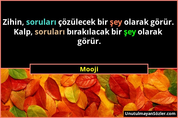 Mooji - Zihin, soruları çözülecek bir şey olarak görür. Kalp, soruları bırakılacak bir şey olarak görür....