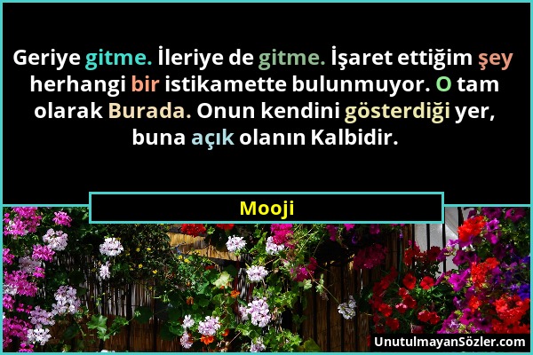 Mooji - Geriye gitme. İleriye de gitme. İşaret ettiğim şey herhangi bir istikamette bulunmuyor. O tam olarak Burada. Onun kendini gösterdiği yer, buna...