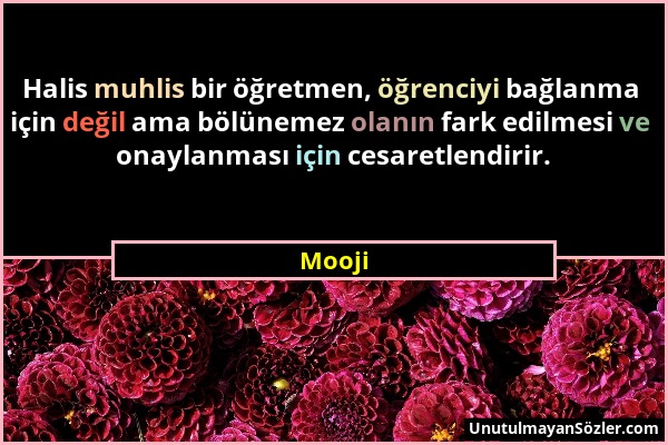 Mooji - Halis muhlis bir öğretmen, öğrenciyi bağlanma için değil ama bölünemez olanın fark edilmesi ve onaylanması için cesaretlendirir....