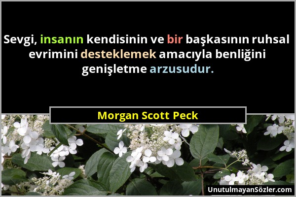 Morgan Scott Peck - Sevgi, insanın kendisinin ve bir başkasının ruhsal evrimini desteklemek amacıyla benliğini genişletme arzusudur....