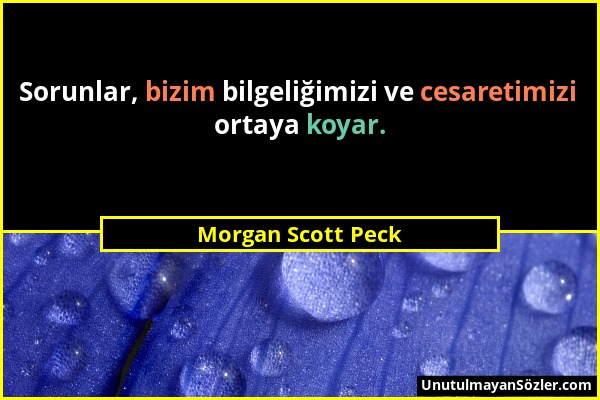 Morgan Scott Peck - Sorunlar, bizim bilgeliğimizi ve cesaretimizi ortaya koyar....