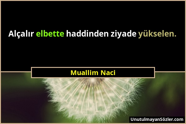 Muallim Naci - Alçalır elbette haddinden ziyade yükselen....