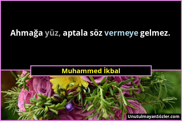 Muhammed İkbal - Ahmağa yüz, aptala söz vermeye gelmez....