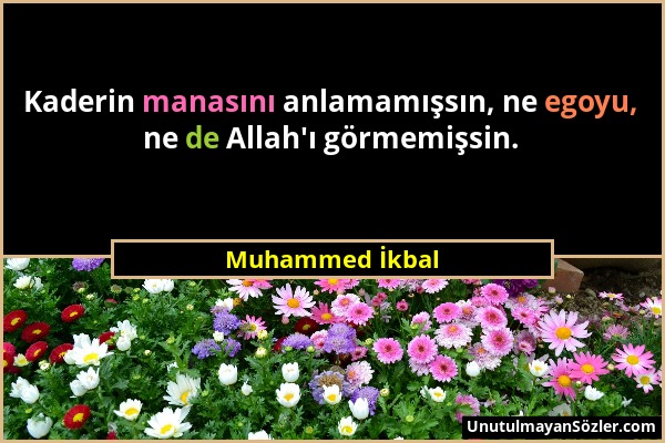 Muhammed İkbal - Kaderin manasını anlamamışsın, ne egoyu, ne de Allah'ı görmemişsin....