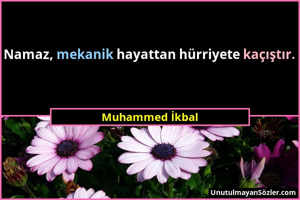 Muhammed İkbal - Namaz, mekanik hayattan hürriyete kaçıştır....