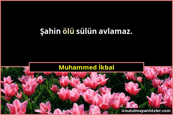 Muhammed İkbal - Şahin ölü sülün avlamaz....