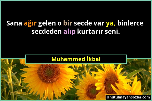 Muhammed İkbal - Sana ağır gelen o bir secde var ya, binlerce secdeden alıp kurtarır seni....