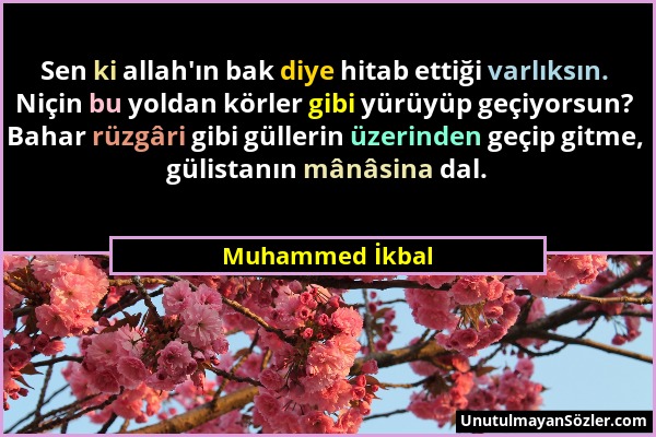 Muhammed İkbal - Sen ki allah'ın bak diye hitab ettiği varlıksın. Niçin bu yoldan körler gibi yürüyüp geçiyorsun? Bahar rüzgâri gibi güllerin üzerinde...