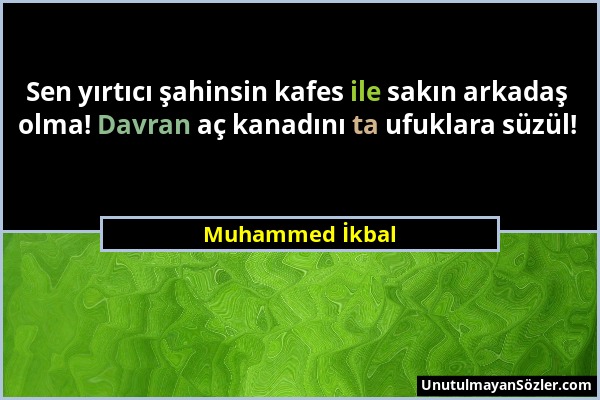 Muhammed İkbal - Sen yırtıcı şahinsin kafes ile sakın arkadaş olma! Davran aç kanadını ta ufuklara süzül!...