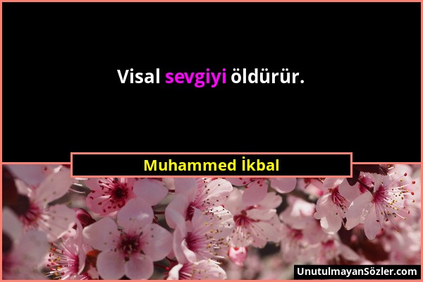 Muhammed İkbal - Visal sevgiyi öldürür....