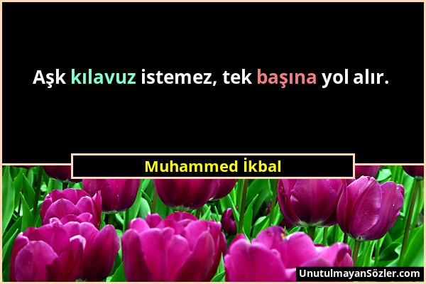 Muhammed İkbal - Aşk kılavuz istemez, tek başına yol alır....