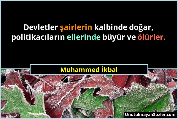 Muhammed İkbal - Devletler şairlerin kalbinde doğar, politikacıların ellerinde büyür ve ölürler....