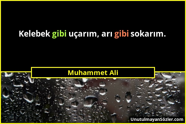 Muhammet Ali - Kelebek gibi uçarım, arı gibi sokarım....