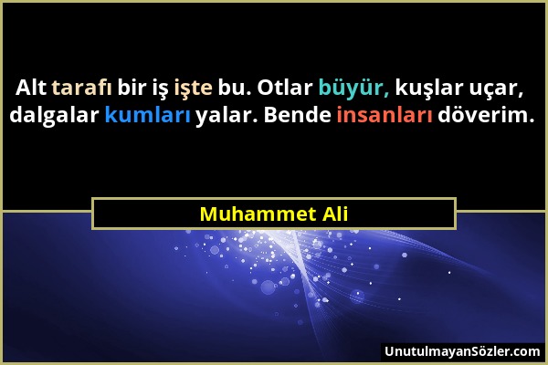 Muhammet Ali - Alt tarafı bir iş işte bu. Otlar büyür, kuşlar uçar, dalgalar kumları yalar. Bende insanları döverim....