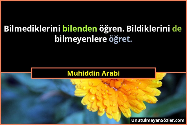 Muhiddin Arabi - Bilmediklerini bilenden öğren. Bildiklerini de bilmeyenlere öğret....