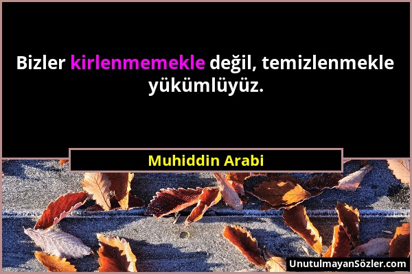 Muhiddin Arabi - Bizler kirlenmemekle değil, temizlenmekle yükümlüyüz....