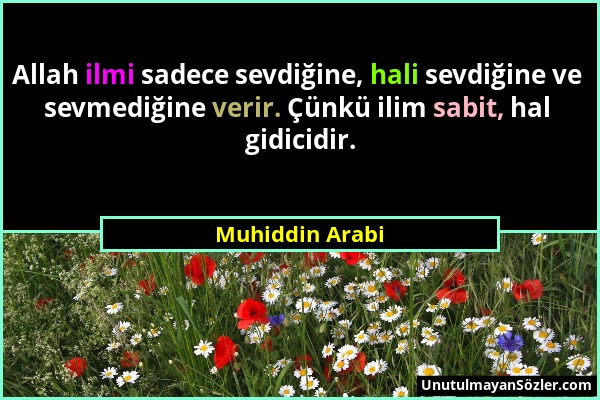 Muhiddin Arabi - Allah ilmi sadece sevdiğine, hali sevdiğine ve sevmediğine verir. Çünkü ilim sabit, hal gidicidir....