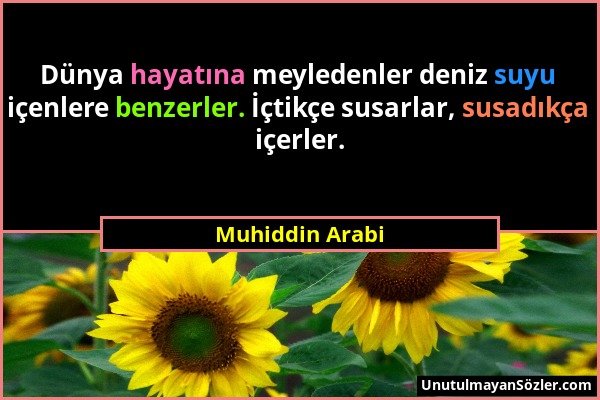 Muhiddin Arabi - Dünya hayatına meyledenler deniz suyu içenlere benzerler. İçtikçe susarlar, susadıkça içerler....