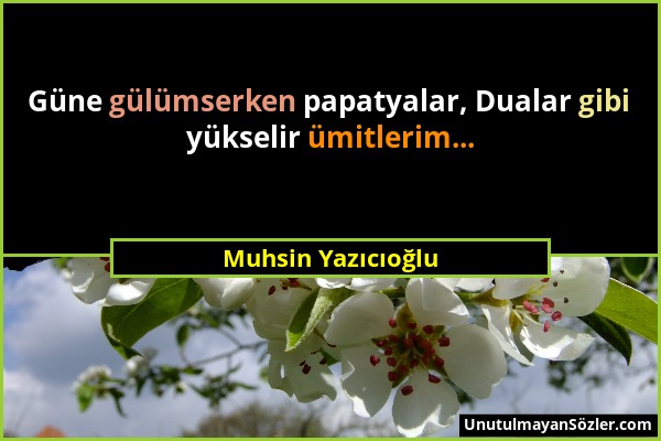 Muhsin Yazıcıoğlu - Güne gülümserken papatyalar, Dualar gibi yükselir ümitlerim......