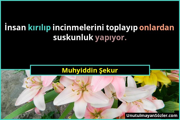 Muhyiddin Şekur - İnsan kırılıp incinmelerini toplayıp onlardan suskunluk yapıyor....