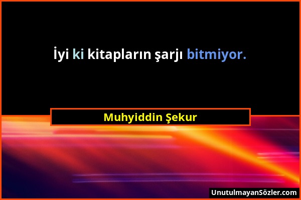 Muhyiddin Şekur - İyi ki kitapların şarjı bitmiyor....