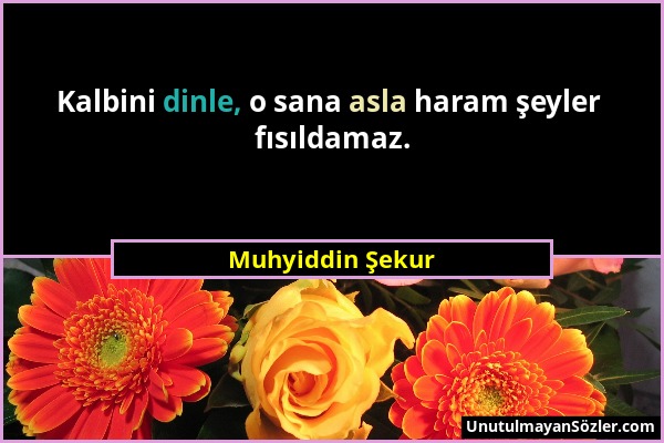 Muhyiddin Şekur - Kalbini dinle, o sana asla haram şeyler fısıldamaz....